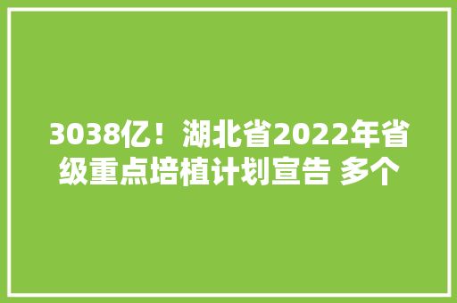 3038亿！湖北省2022年省级重点培植计划宣告 多个砂石类项目在列
