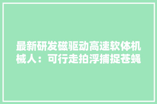 最新研发磁驱动高速软体机械人：可行走拍浮捕捉苍蝇 最新研发磁驱动高速软体机械人：可行走拍浮捕捉苍蝇 人工智能