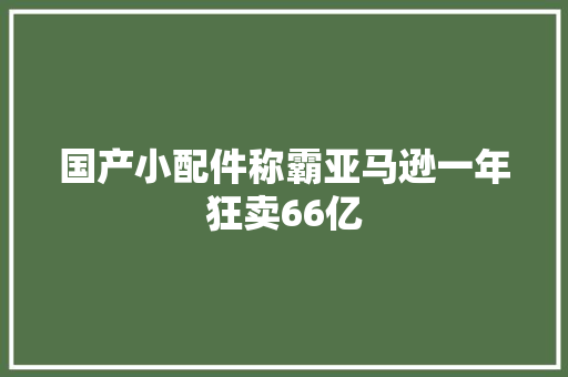 国产小配件称霸亚马逊一年狂卖66亿