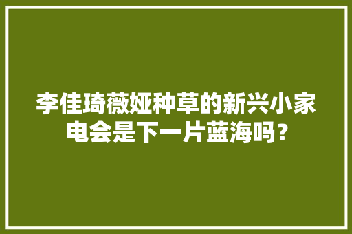 李佳琦薇娅种草的新兴小家电会是下一片蓝海吗？