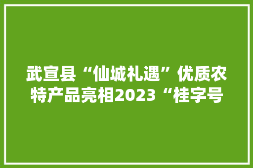 武宣县“仙城礼遇”优质农特产品亮相2023“桂字号”产销对接活动 人工智能