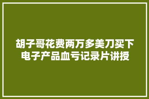 胡子哥花费两万多美刀买下电子产品血亏记录片讲授