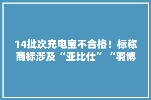 14批次充电宝不合格！标称商标涉及“亚比仕”“羽博”等