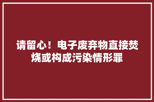 请留心！电子废弃物直接焚烧或构成污染情形罪 请留心！电子废弃物直接焚烧或构成污染情形罪 智能家居
