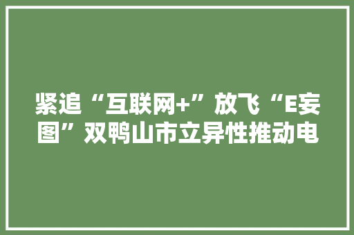 紧追“互联网+”放飞“E妄图”双鸭山市立异性推动电子商务家当成长纪实