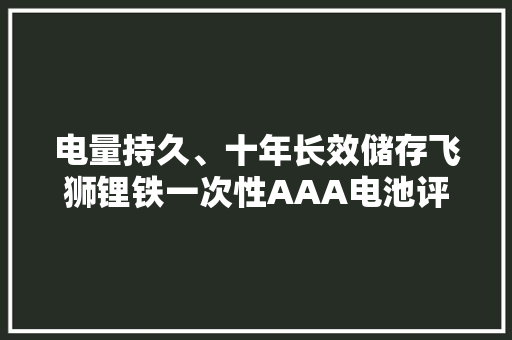 电量持久、十年长效储存飞狮锂铁一次性AAA电池评测