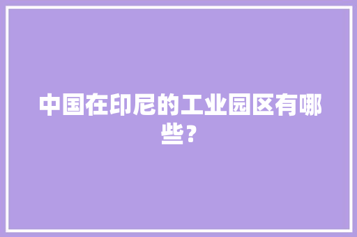 中国在印尼的工业园区有哪些？ 中国在印尼的工业园区有哪些？ 人工智能