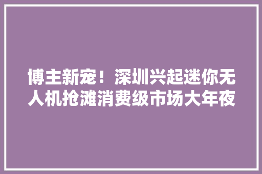 博主新宠！深圳兴起迷你无人机抢滩消费级市场大年夜疆或迎对手 博主新宠！深圳兴起迷你无人机抢滩消费级市场大年夜疆或迎对手 智能科技