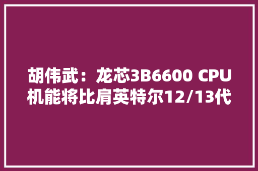 胡伟武：龙芯3B6600 CPU机能将比肩英特尔12/13代高端酷睿