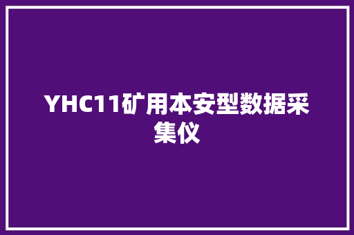 YHC11矿用本安型数据采集仪 YHC11矿用本安型数据采集仪 人工智能