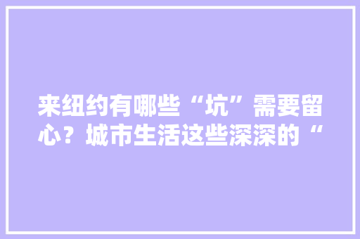来纽约有哪些“坑”需要留心？城市生活这些深深的“套路”连本地人都难逃过