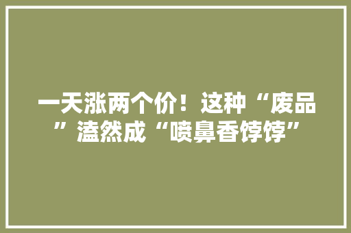 一天涨两个价！这种“废品”溘然成“喷鼻香饽饽”