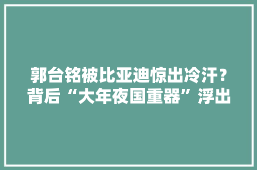 郭台铭被比亚迪惊出冷汗？背后“大年夜国重器”浮出水面：全球仅一台
