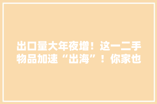 出口量大年夜增！这一二手物品加速“出海”！你家也有闲置吗？ 出口量大年夜增！这一二手物品加速“出海”！你家也有闲置吗？ 人工智能