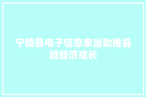 宁陵县电子信息家当助推县域经济成长