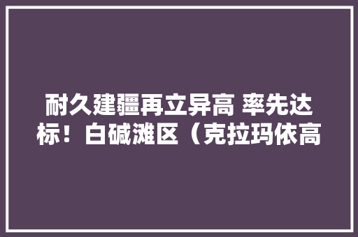 耐久建疆再立异高 率先达标！白碱滩区（克拉玛依高新区）医保电子凭证激活率首次打破90%