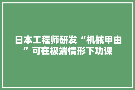 日本工程师研发“机械甲由”可在极端情形下功课