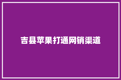 吉县苹果打通网销渠道