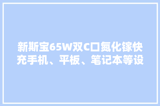 新斯宝65W双C口氮化镓快充手机、平板、笔记本等设备充电都轻松 新斯宝65W双C口氮化镓快充手机、平板、笔记本等设备充电都轻松 智能科技