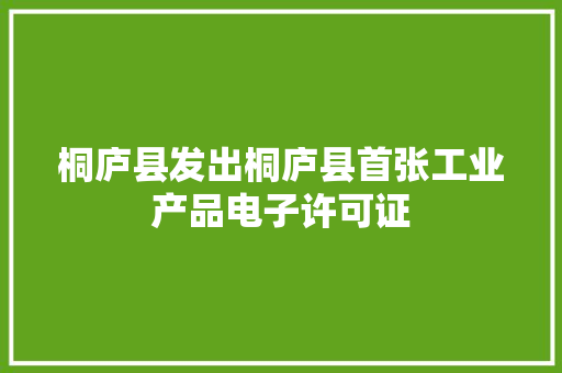桐庐县发出桐庐县首张工业产品电子许可证