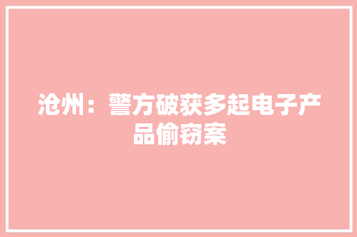 沧州：警方破获多起电子产品偷窃案