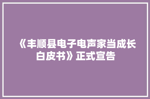 《丰顺县电子电声家当成长白皮书》正式宣告