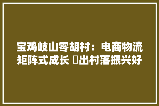 宝鸡岐山零胡村：电商物流矩阵式成长 蹚出村落振兴好途径