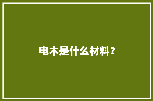 电木是什么材料？