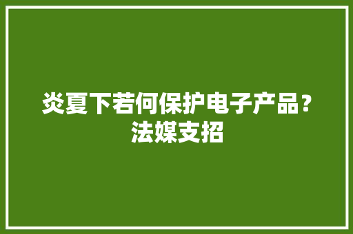 炎夏下若何保护电子产品？法媒支招