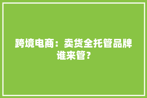 跨境电商：卖货全托管品牌谁来管？
