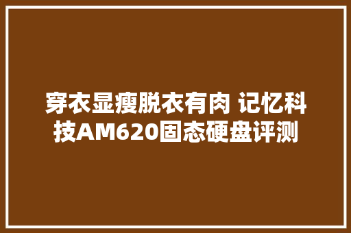 穿衣显瘦脱衣有肉 记忆科技AM620固态硬盘评测