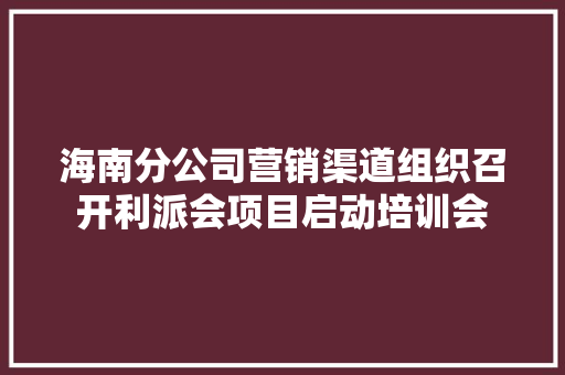 海南分公司营销渠道组织召开利派会项目启动培训会