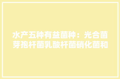 水产五种有益菌种：光合菌芽孢杆菌乳酸杆菌硝化菌和酵母菌
