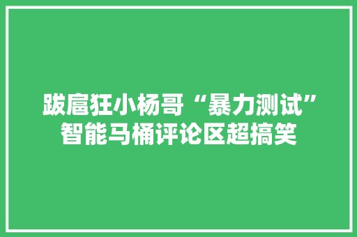 跋扈狂小杨哥“暴力测试”智能马桶评论区超搞笑