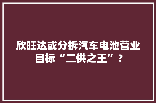 欣旺达或分拆汽车电池营业目标“二供之王”？