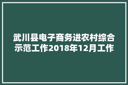 武川县电子商务进农村综合示范工作2018年12月工作进展情况公示