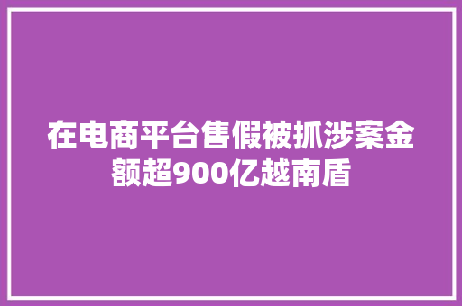 在电商平台售假被抓涉案金额超900亿越南盾 在电商平台售假被抓涉案金额超900亿越南盾 互联通信