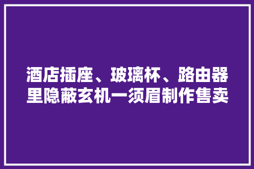 酒店插座、玻璃杯、路由器里隐蔽玄机一须眉制作售卖偷拍设备被判！