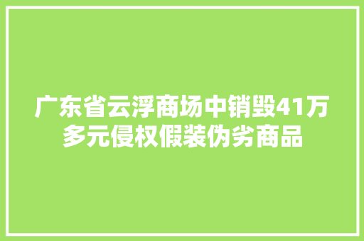 广东省云浮商场中销毁41万多元侵权假装伪劣商品