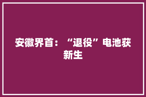 安徽界首：“退役”电池获新生