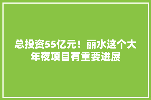 总投资55亿元！丽水这个大年夜项目有重要进展