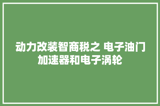 动力改装智商税之 电子油门加速器和电子涡轮