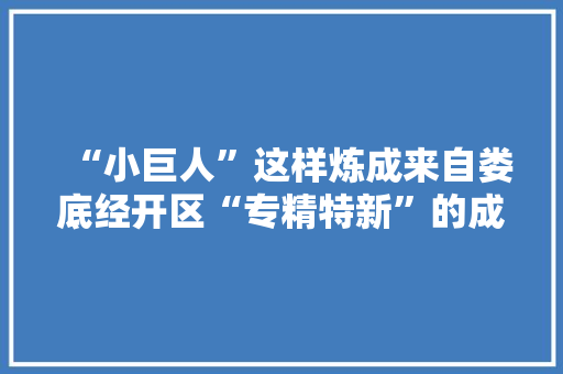 “小巨人”这样炼成来自娄底经开区“专精特新”的成长实践 “小巨人”这样炼成来自娄底经开区“专精特新”的成长实践 智能家居