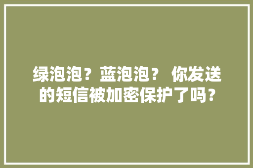 绿泡泡？蓝泡泡？ 你发送的短信被加密保护了吗？