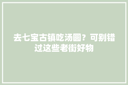 去七宝古镇吃汤圆？可别错过这些老街好物