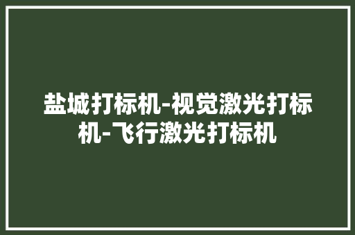 盐城打标机-视觉激光打标机-飞行激光打标机 盐城打标机-视觉激光打标机-飞行激光打标机 智能家居