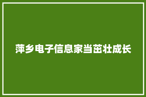 萍乡电子信息家当茁壮成长 萍乡电子信息家当茁壮成长 人工智能