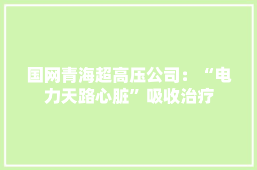 国网青海超高压公司：“电力天路心脏”吸收治疗