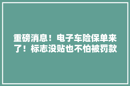 重磅消息！电子车险保单来了！标志没贴也不怕被罚款、扣车！