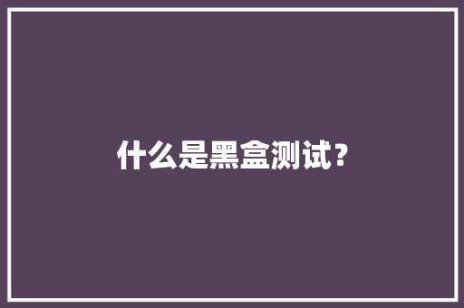 什么是黑盒测试？